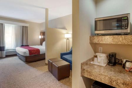 Comfort Suites North - 106