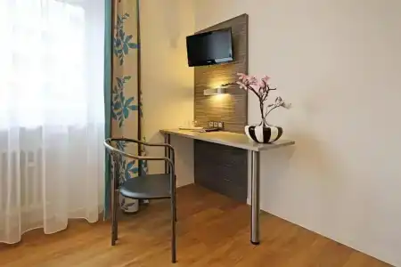 am Zoo - 12