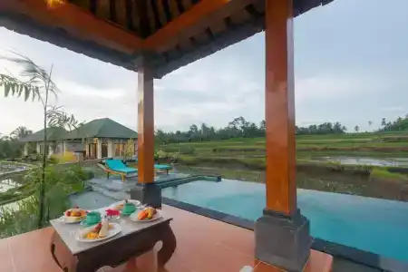 Cahaya - 81