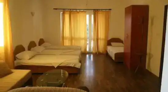 Nikolić - 2