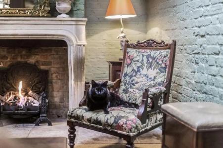 The Rookery - 26
