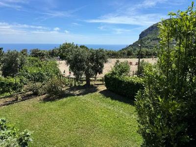Agriturismo Piccolo Paradiso - 39