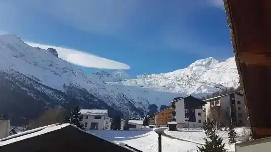 Alpenperle - 26
