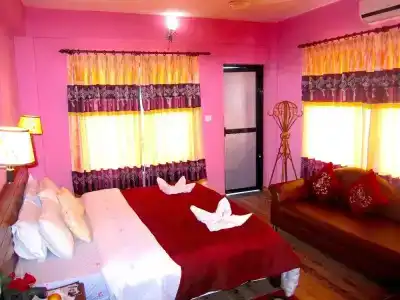 Orchid - 32