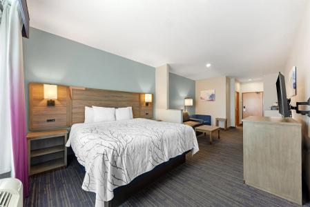 Best Western Plus San Antonio East Inn & Suites - 72