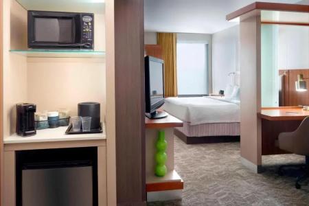 SpringHill Suites by Marriott Atlanta Airport Gateway - 36