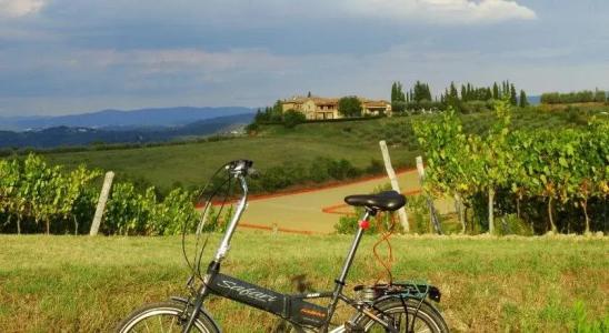 Agriturismo Montegonfoli - 17