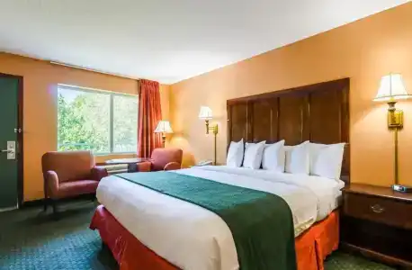 Quality Inn South - 39