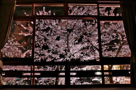 Tsutaya Ryokan - 36
