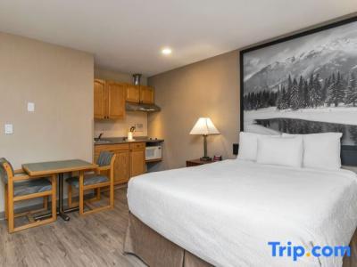 Quality Inn & Suites - 61