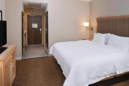 Hampton Inn & Suites Denver-Speer Boulevard - 54