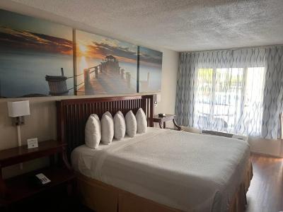 Days Inn by Wyndham Speedway - 6
