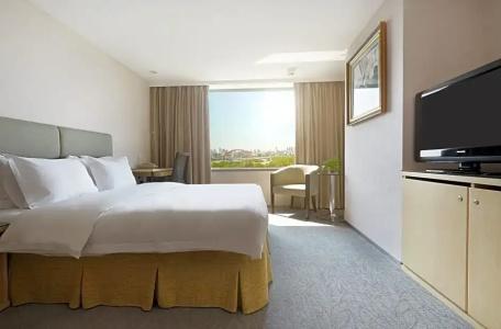 Holiday Inn Wuhan Riverside, An Ihg - 108