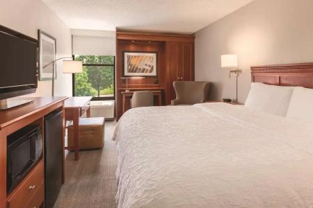 Hampton Inn-Airport - 42