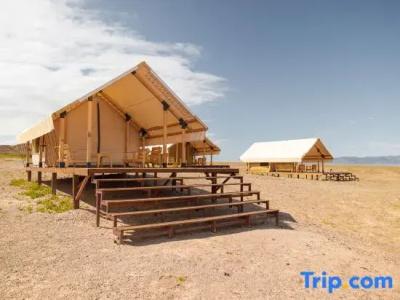 Charyn Canyon Camp - 53