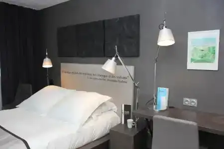 Best Western Plus Hôtel Litteraire Alexandre Vialatte - 94