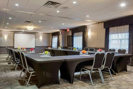 Best Western Plus Village Park Inn - 22