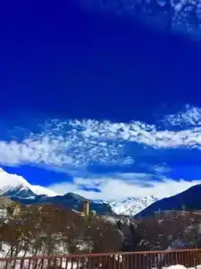 AlpenRose - 1