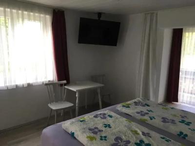 Pension Waldesruh - 37