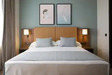 Riu Plaza España - 43