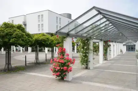 Best Western ParkWeingarten - 19
