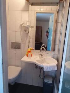 Pension Haus Diefenbach - 12