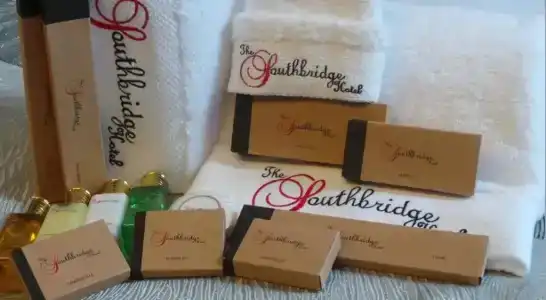 The Southbridge (Sg Clean) - 42