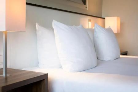 Holiday Inn Eindhoven Centre, An Ihg - 54