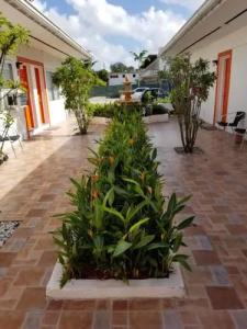 Royal Budget Inn - 3