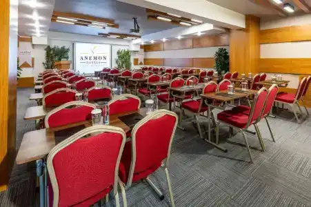Anemon Diyarbakır - 11