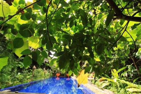 Petit Temple Suite & Spa - 12