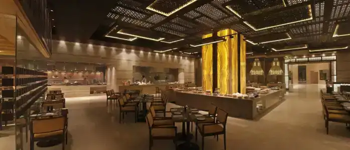Hilton Jaipur - 25