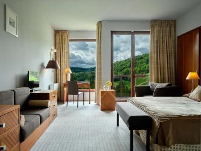 Spa Dr Irena Eris Krynica Zdrój - 39