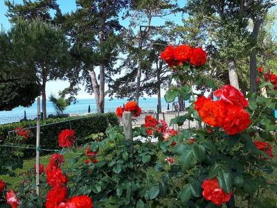 Villa Rosetta - 21