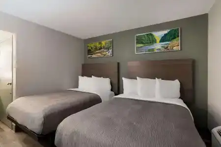 Quality Inn Elk Grove-Sacramento - 4