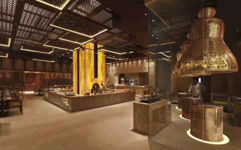 Hilton Jaipur - 22