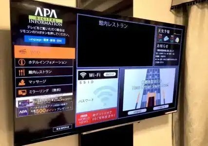 Apa Keisei Narita Ekimae - 102