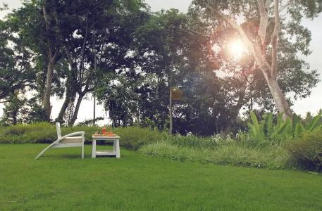 The Hidden Paradise Ubud - 67