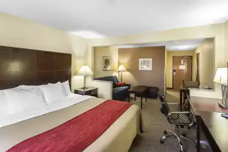 Comfort Inn & Suites - 6