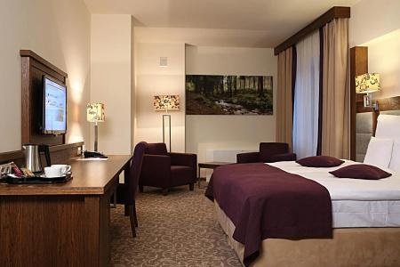 Mercure Krynica Zdrój Resort&Spa - 30