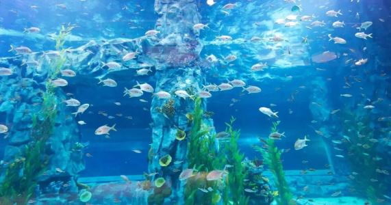 Lotte World - 32