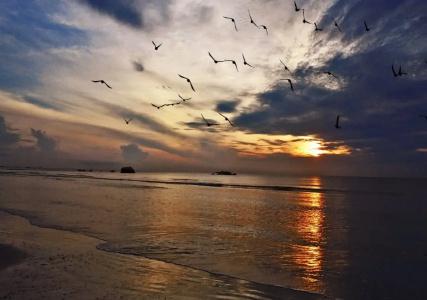 De Rhu Beach - 15