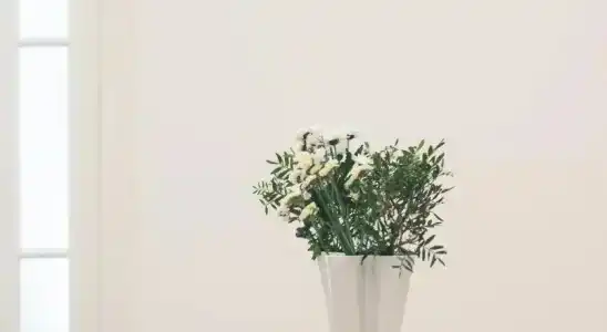 Cami Gallery Barcelona - 11