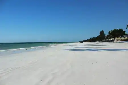 Uroa Bay Beach - 13