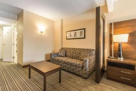 Comfort Suites Downtown - 44