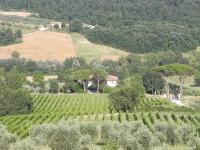 Tenuta Pizzogallo - 67