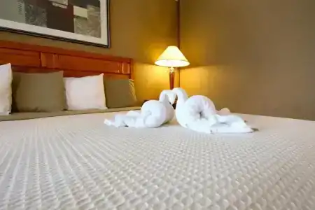 Crusader Oceanfront - 26
