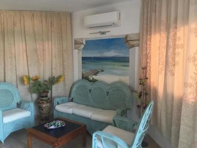 Palau City - 3