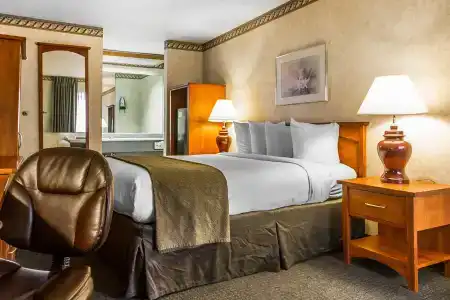 Quality Inn & Suites - 46