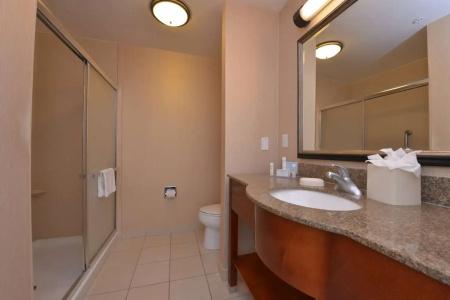 Hampton Inn and Suites North-Airport - 40